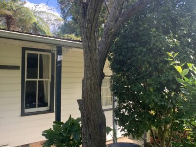 Short-term accommodation in THE CABIN, Katoomba